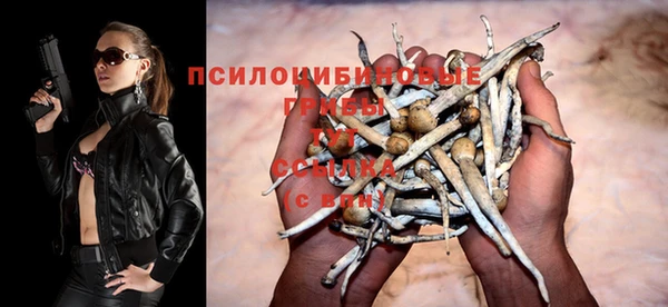 дмт Баксан
